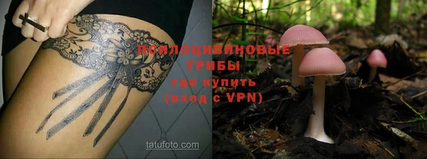 марки nbome Инсар