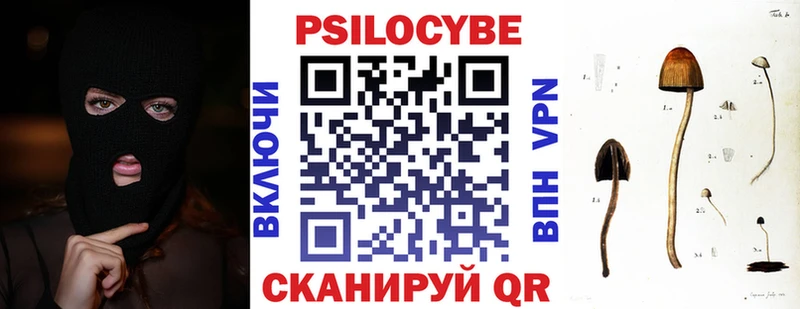 как найти закладки  Кола  Псилоцибиновые грибы прущие грибы 